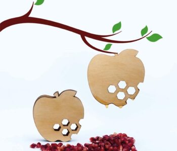 APPLE-SHAPED COASTERS